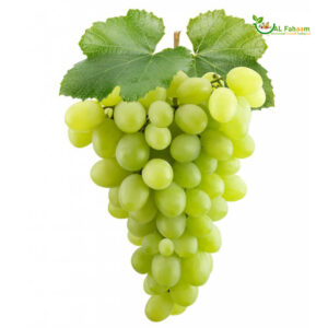 Fresh Egyptian Grapes Green Seed - Buy now for a taste of excellence.