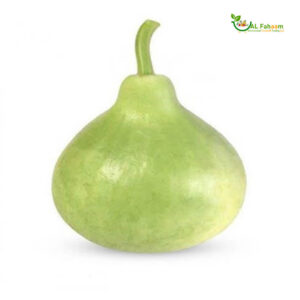 Fresh Round Bottle Gourd from Oman - Alfahaam