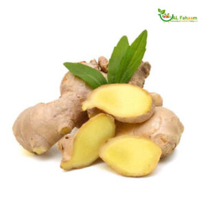 Image of freshly harvested Chinese Ginger from alfahaam