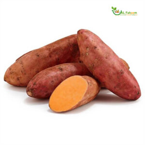 Fresh Sweet Potato Orange from Egypt