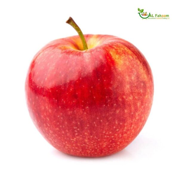 Fresh Royal Gala Apple from New Zealand