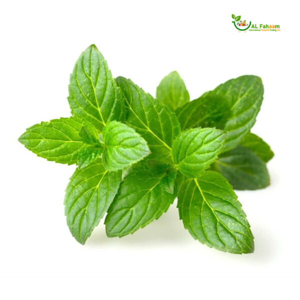 Mint leaves garnishing a vibrant salad