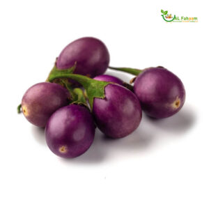 Close-up of Small Brinjal Purple from Oman